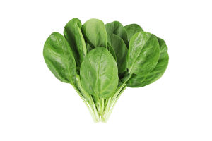 Шпинат