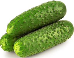Огірок Екстра Іспанія