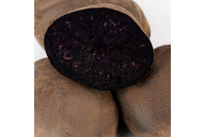 Картопля Либідь фіолетова