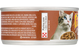Purina Friskies Extra Gravy Chunky with Chicken