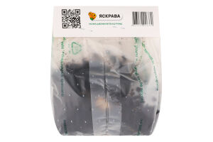 Цибулина Лілія ОТ Пьорпл Леді гігантська гібрид Яскрава