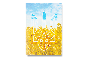 Обложка на паспорт Герб пшеница Just Cover! 1шт