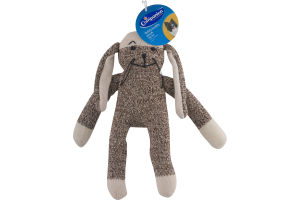 Companion Teddy Buddy Plush Dog Toy