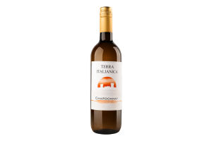Вино 0.75л 11.5% белое сухое Шардоне Terra Italianica бут