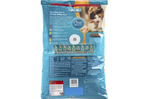 Purina One Smart Blend Cat Food Chicken & Turkey