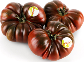 Томат Primora