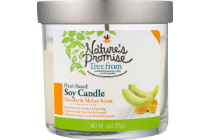 Nature's Promise Soy Candle Mandarin Melon