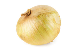 Цибуля рання Українська