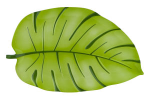Smart Living SL Palm Leaf Shape Plate Mel Cd