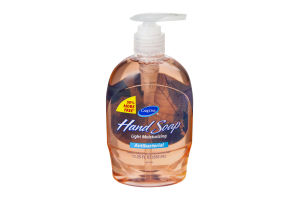 CareOne Light Moisturizing Antibacterial Hand Soap