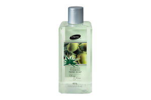CareOne Foaming Antibacterial Olive & Aloe Hand Soap Refill