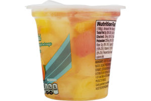 Ahold Citrus Salad in Extra Light Syrup