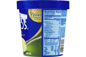 Dannon Oikos Greek Frozen Yogurt Key Lime Flavor