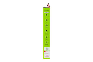 Удлинитель сетевой 4 розетки 2м №EE-104USB/C-2M Euroelectric 1шт