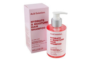 Шампунь для глубокого увлажнения кожи головы и волос кислотный Acid solution Hollyskin 200мл