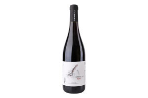 Вино 750мл 13% красное сухое Merlot Inwinectus бут