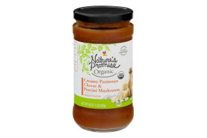 Nature's Promise Organic Italian Sauce Creamy Parmesan Cheese & Porcini Mushroom
