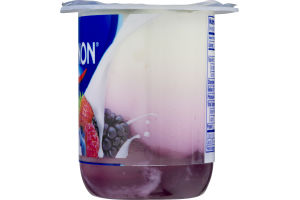 Dannon Fruit on the Bottom Lowfat Yogurt Mixed Berry