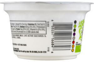 Nature's Promise Organic Greek Nonfat Yogurt Plain