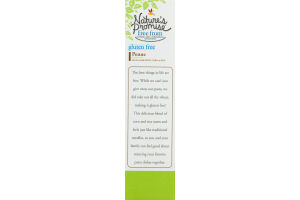 Nature's Promise Gluten Free Pasta Penne
