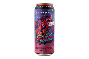 Пиво 500мл 4.5% светлое нефильтрованное Blueberry&Cherry Fruit Ale Sorbet line 2 Forever ж/б