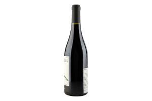 Вино Aldo Viola Coccinella Syrah