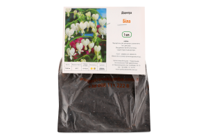 Кореневище Діцентра Розбите серце біла Яскрава