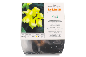 Цибулина Лілія Екзотік Сан ДБЛ орієнтальна подвійна Яскрава