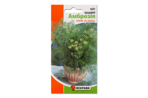 Насіння Кріп Амброзія кущовий 2,5г Яскрава