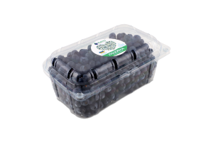 Голубика садовая свежая iBerry 1с п/у 500г