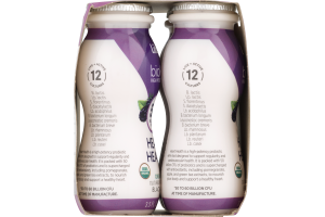 Lifeway bioKEFIR Organic Cultured Nonfat Milk Blackberry - 4 CT