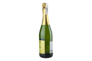 Вино игристое 0.75л 11% белое полусухое Cheri d'Amour бут