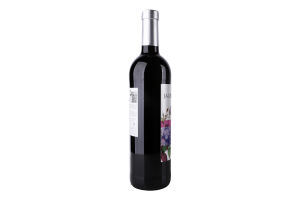 Вино Jaume Serra ч/сухе 12,5% 0,75л