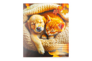 Зошит Люкс Тетрада кар/о 96ар