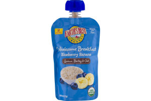 Earth's Best Organic Wholesome Breakfast Blueberry Banana Quinoa, Barley & Oat