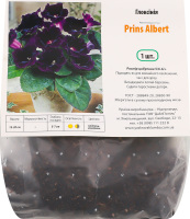 Бульба Глоксінія Принц Альберт Яскрава