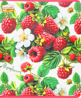 Зошит Фемілі Лайн Ароматний клітинка 48аркушів Тетрада