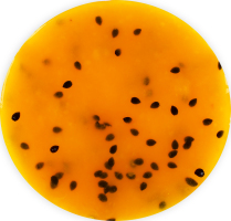 Торт Чіз-Екзотичний 13см ваг