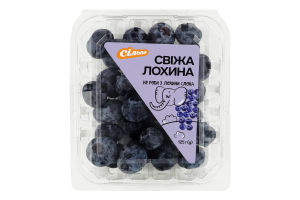 Лохина Сільпо