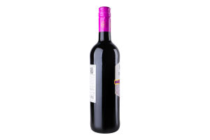 Вино 0.75л 13% красное сухое Merlot Brise de France бут