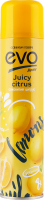 Освежитель воздуха Сочный цитрус Evo Home 300мл