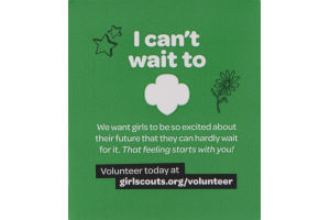 Bigelow Herbal Tea Thin Mints - 20 CT