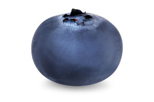 Лохина Orniberry