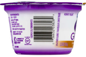 Dannon Light & Fit Greek Nonfat Yogurt Caramel Apple Pie