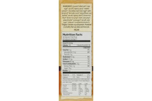 Nature's Path Organic Peanut Choco Chewy Granola Bars - 5 CT