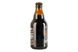 Пиво 0.33л 7.4% темное нефильтрованное неосветленное непастеризованное Milk stout Saga бут