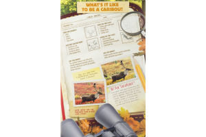 Nature's Path Organic EnviroKidz Oatmeal Brown Sugar Maple - 8 CT