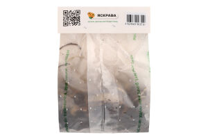 Цибулина Лілія ЛА Фанжіо гібрид Яскрава