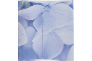 Ahold Facial Tissues Soft & Gentle 3-Ply Unscented - 144 CT