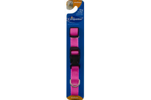 Companion Dog Collar Adjustable Medium
